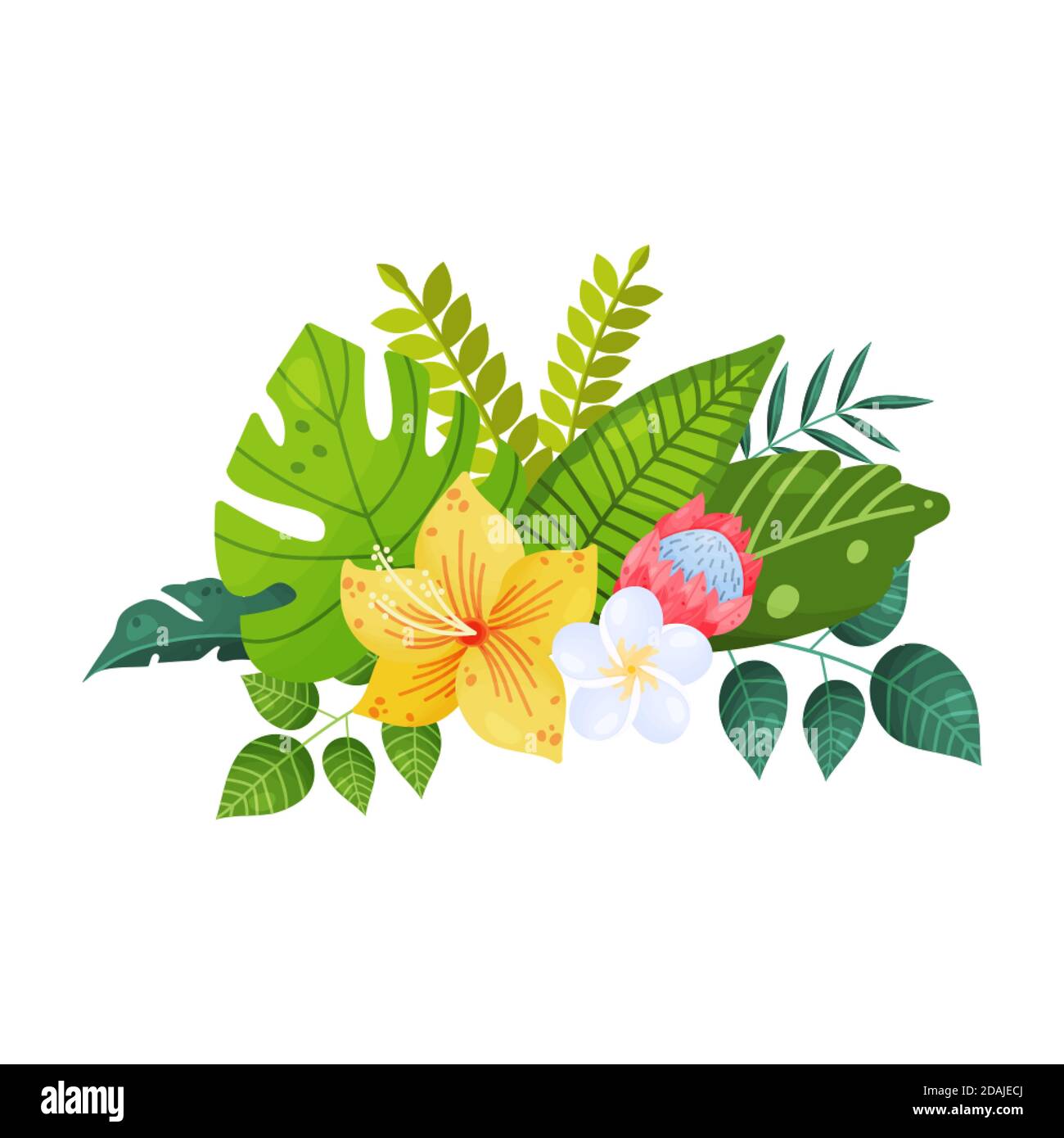 Bouquet of tropical leaves and flowers on white background Stock Vector ...