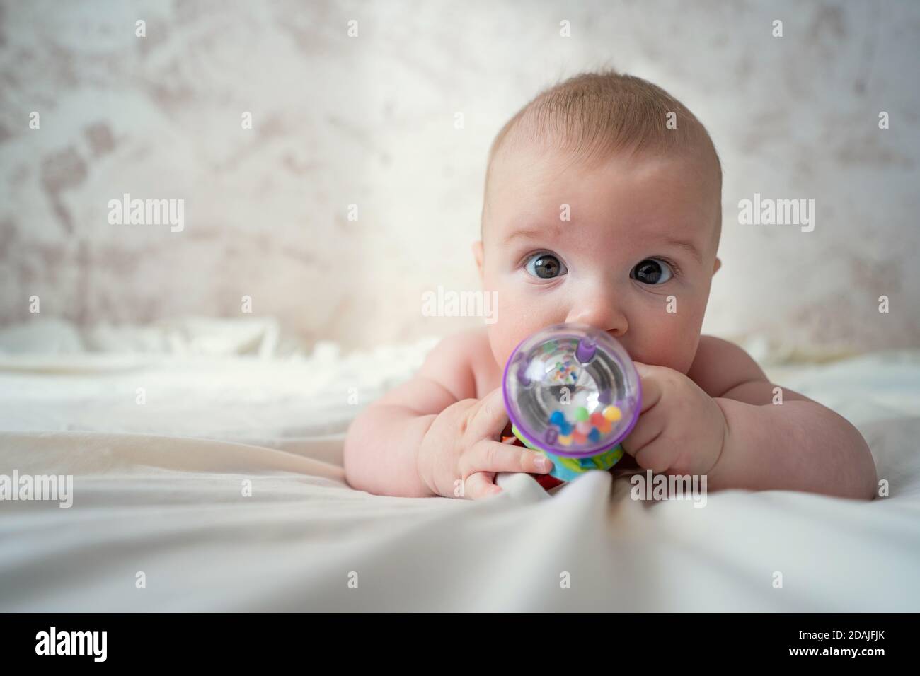 Cute happy baby thumb-sucking and plays a rattle Stock Photo