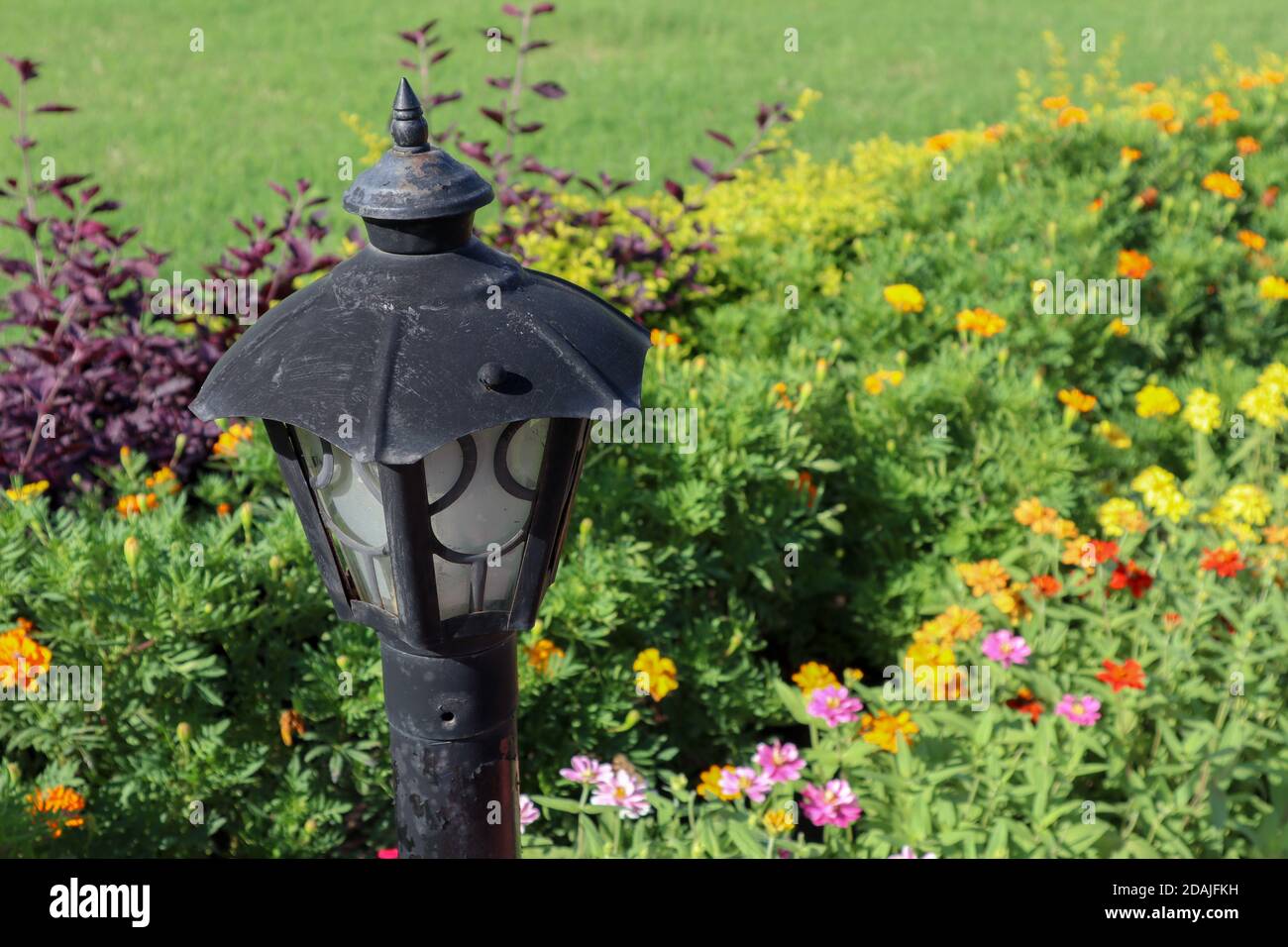 Beautiful lamp post in a garden with colorful flowers Stock Photo - Alamy