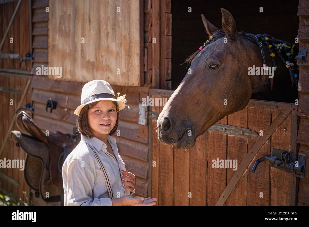 Little girl rider communicates with horse after equestrian sport. Brown mare peeks out of stable in friendly manner. Animal themes Stock Photo