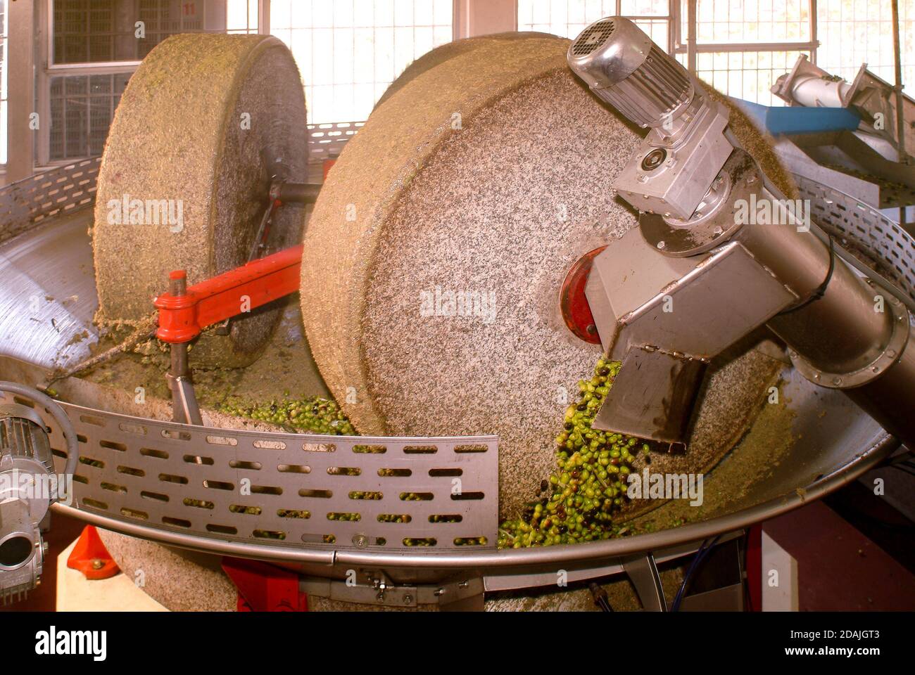 Extraction of extra virgin olive oil from olives by circular stone mill in Italy Stock Photo