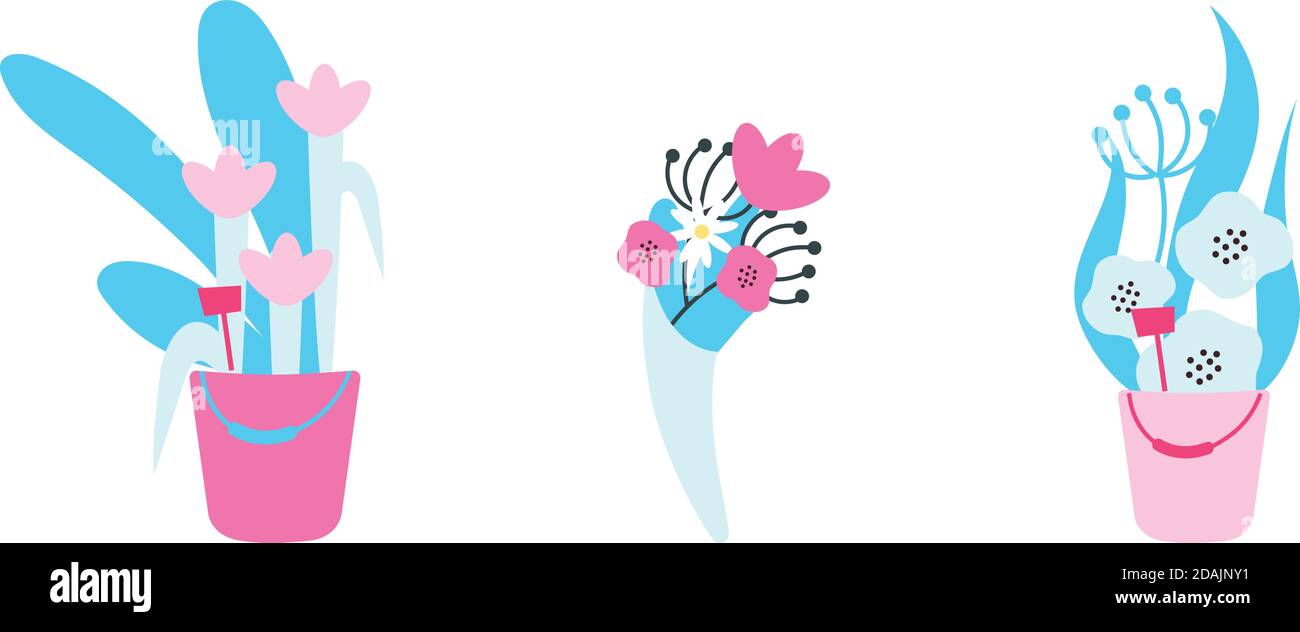 Flowers in vases flat color vector objects set Stock Vector Image & Art Alamy