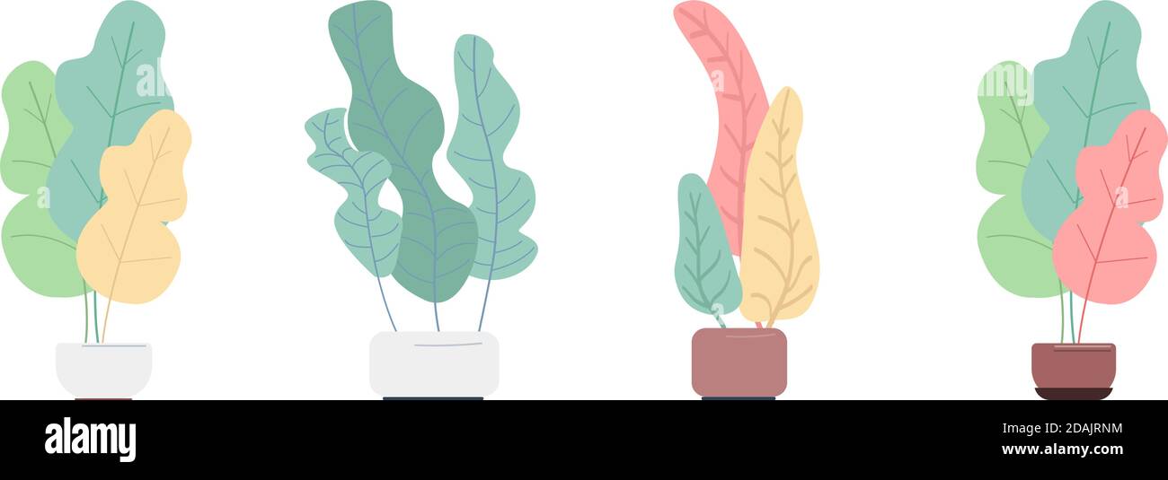 Plant in pot flat color vector objects set Stock Vector Image & Art - Alamy