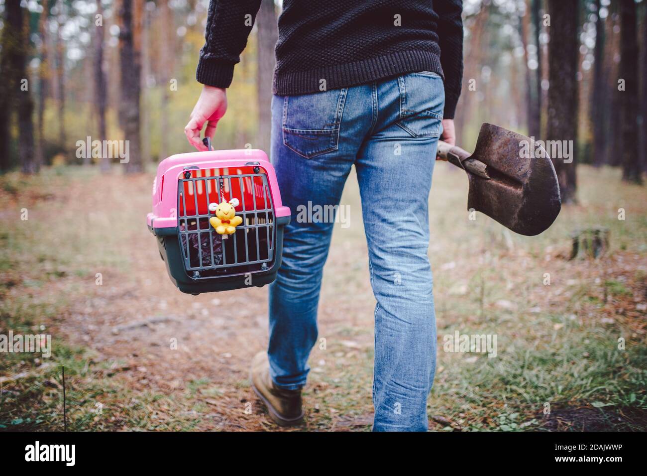 Is It Illegal To Bury A Dog