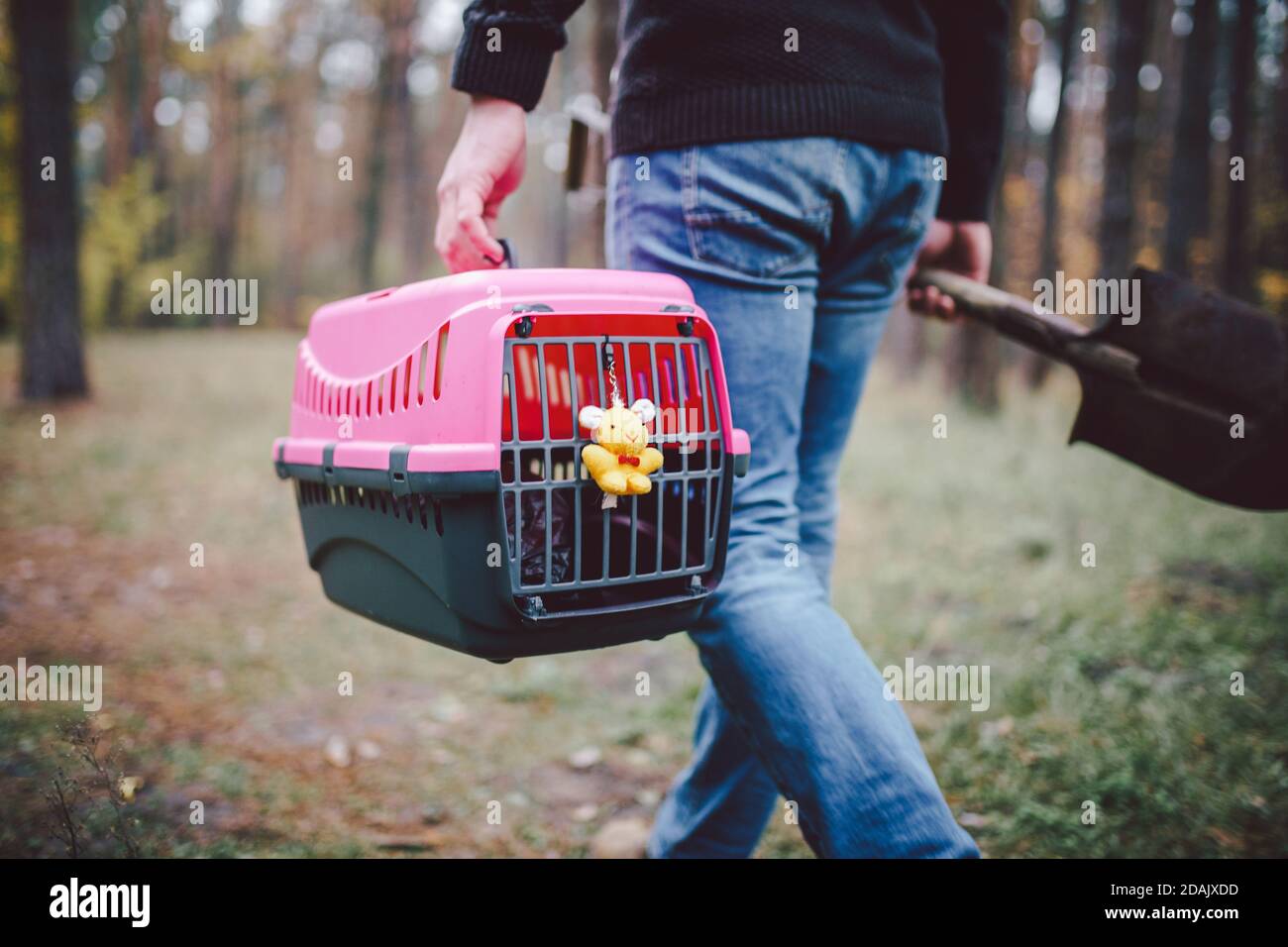 Is It Illegal To Bury A Dog