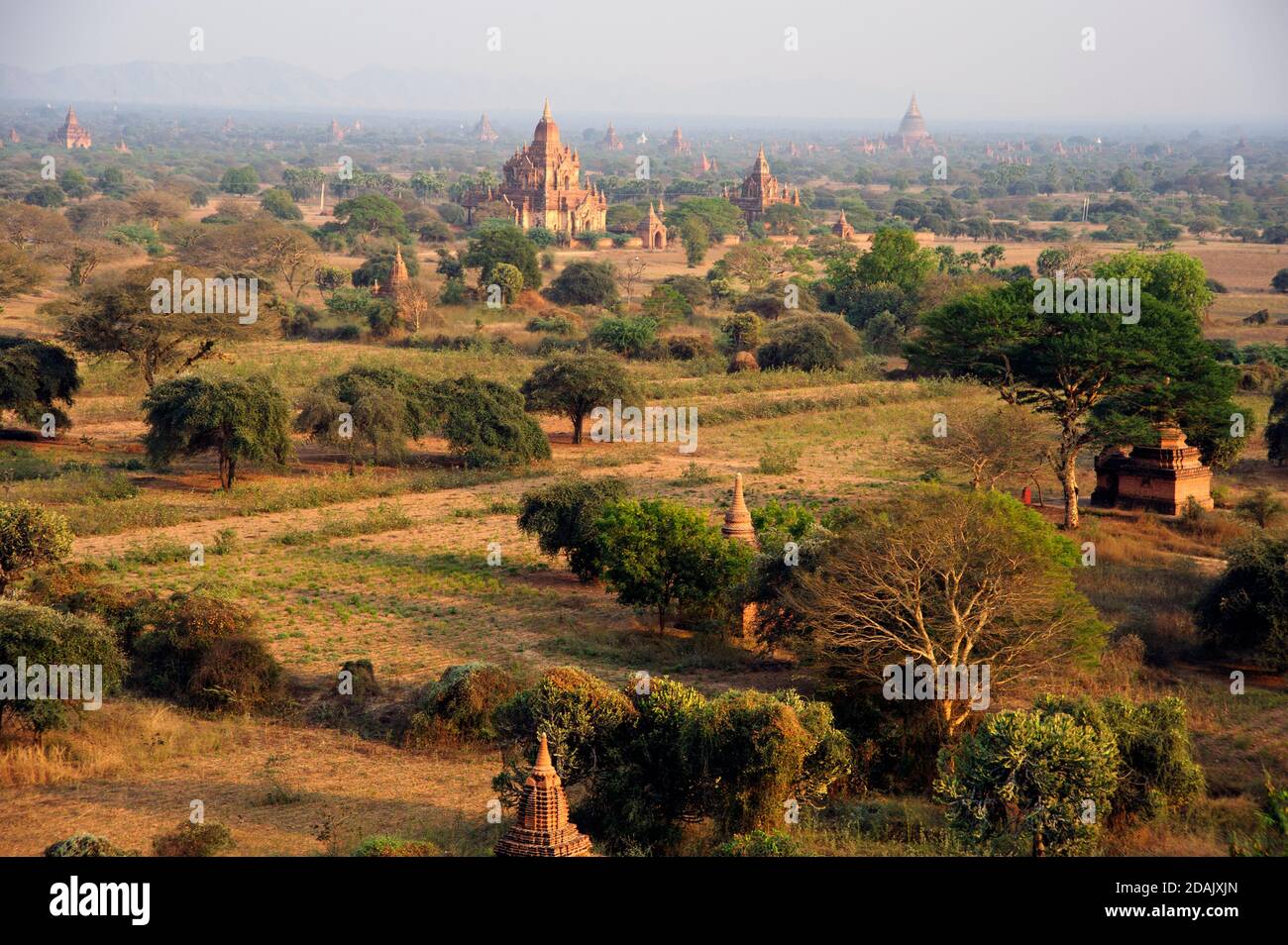 The beautiful dusty Bagan plain studded with hundreds of Buddhist temples in Bagan Myanmar Stock Photo