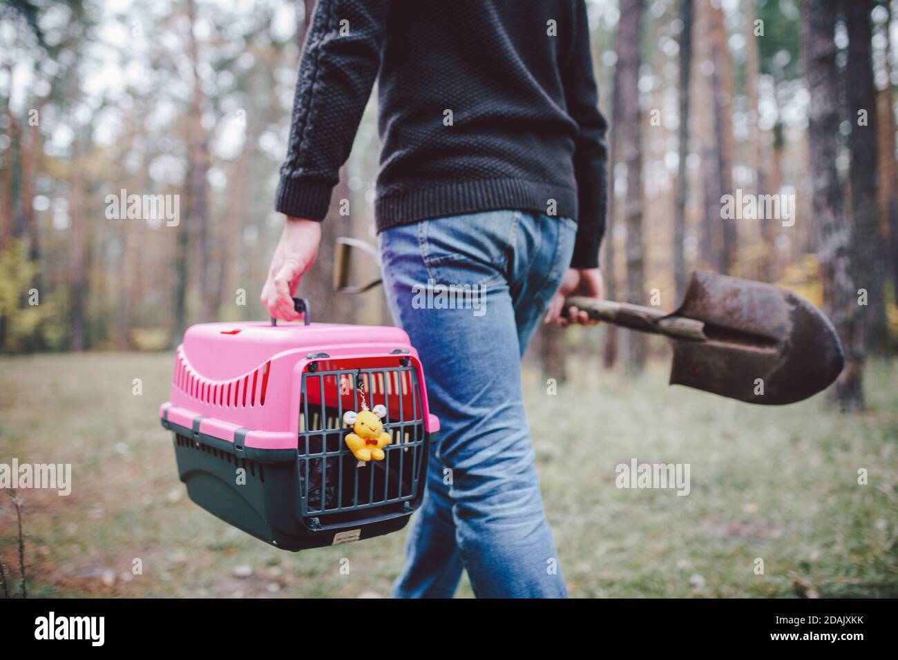 Theme of illegal burial of pets in forest. Self-service pet burial in ... - Cat Behavior Burying Dead Small Animals