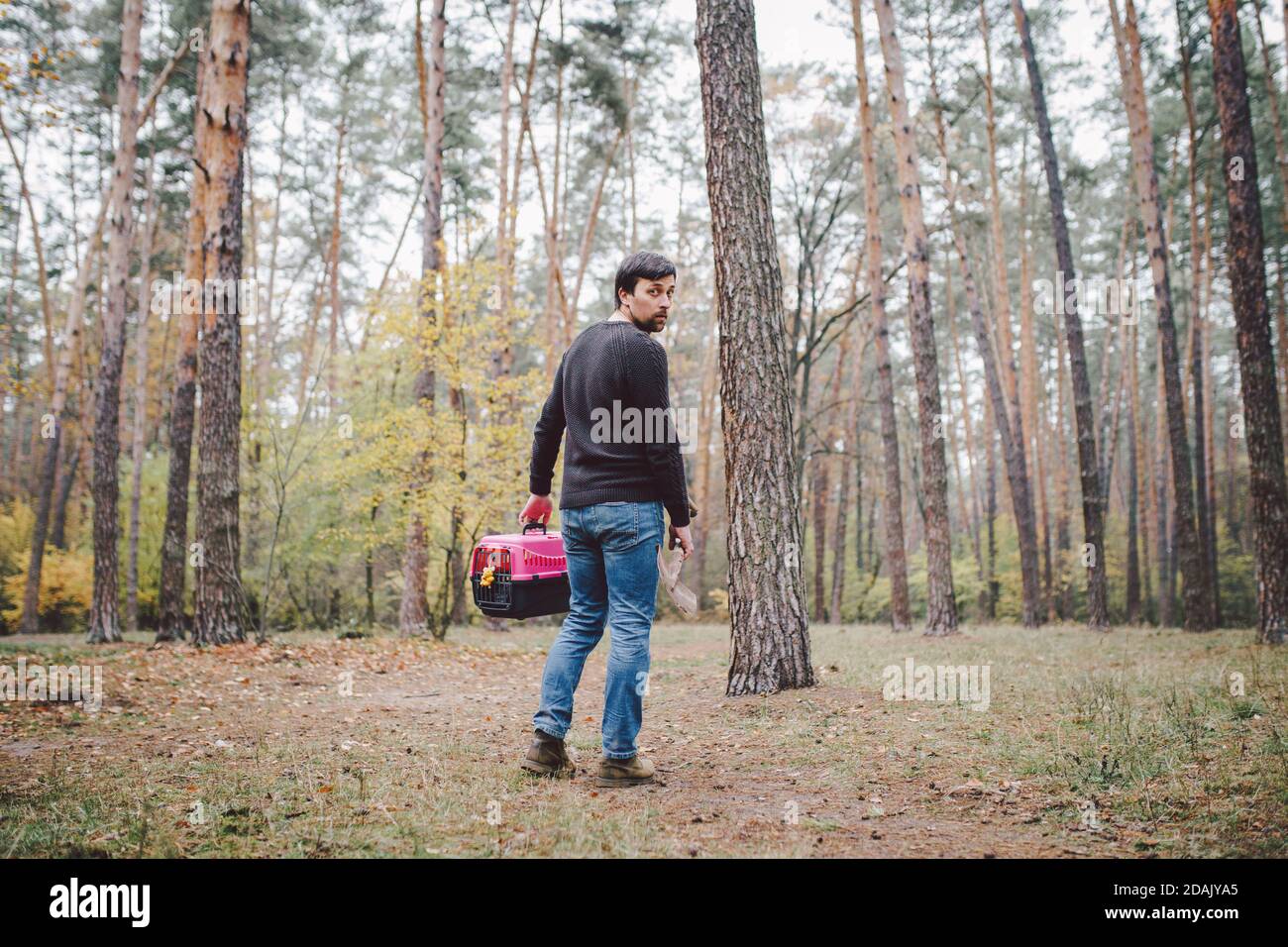 Theme of illegal burial of pets in forest. Selfservice pet burial in