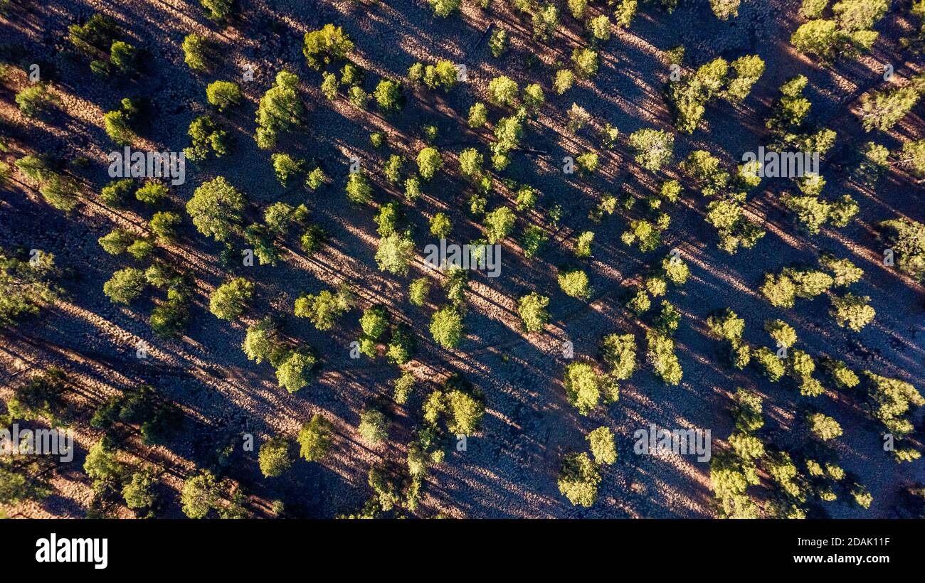 Drone view of the Sunset Crater national monument surroundings Arizona Stock Photo