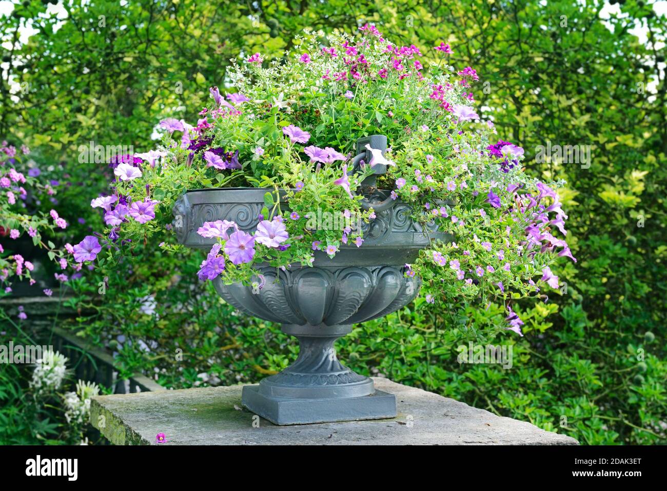 Flower bed scene hi-res stock photography and images - Alamy