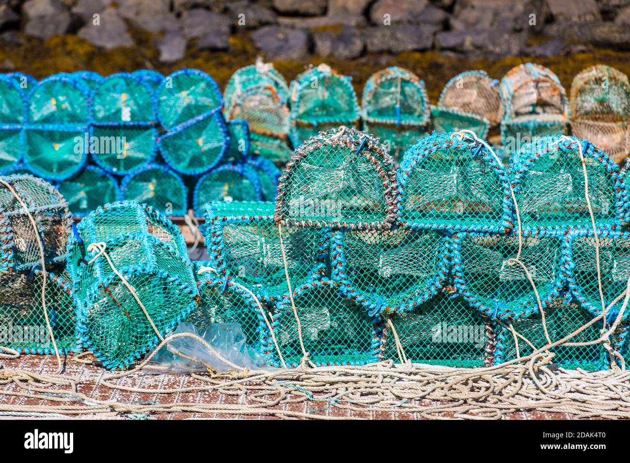 Blue lobster pots creels are neatly stacked on a jetty in the Highlands of Scotland in front of a greystone background. Stock Photo