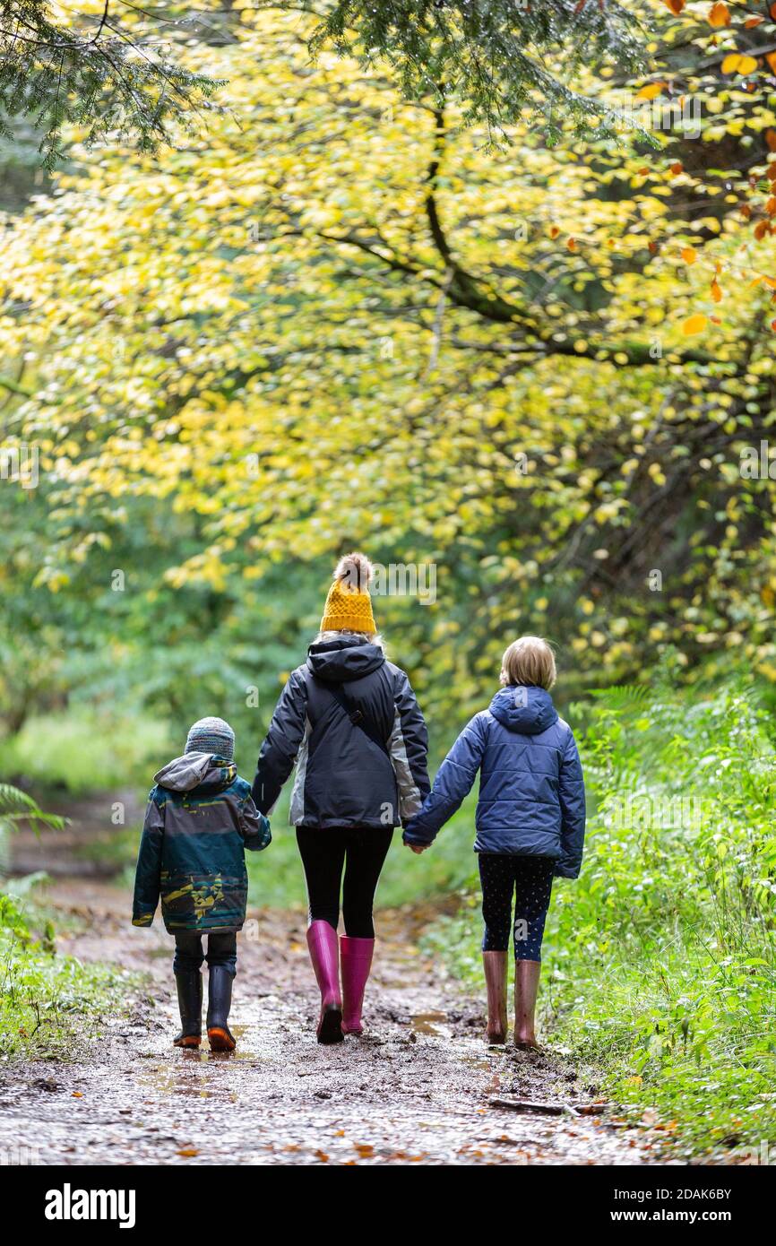 A photo of a family of three walking away through an autumnal woodland setting. Stock Photo