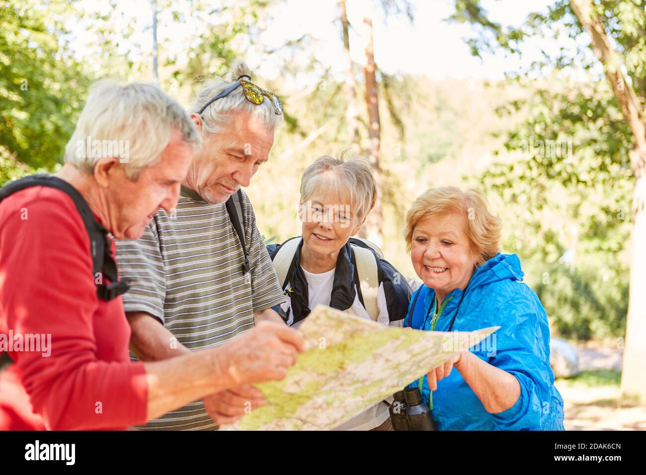 Group of active seniors with hiking map looking for direction in nature in summer Stock Photo