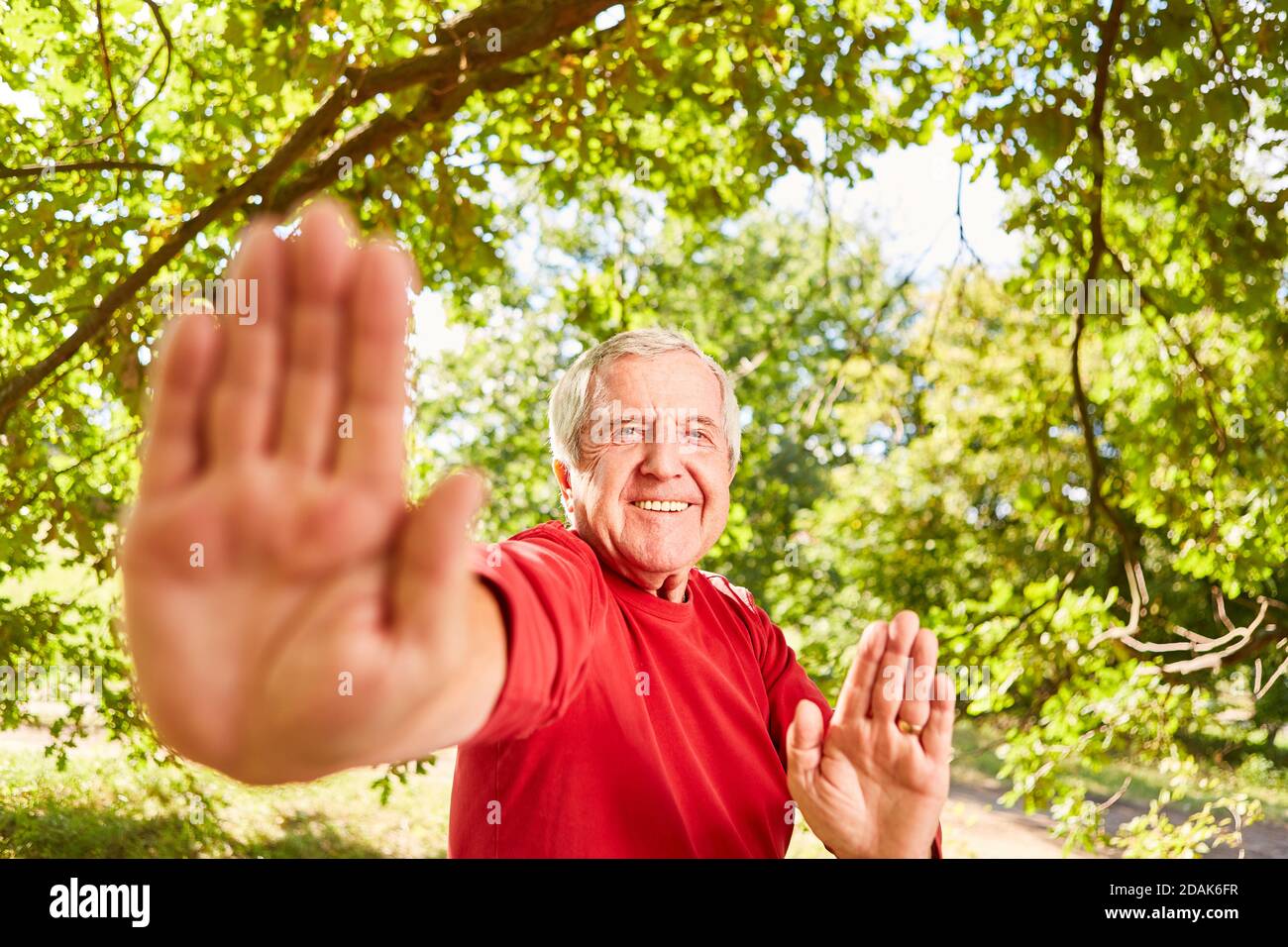 Vital senior with a Tai Chi exercise for health and relaxation in nature Stock Photo