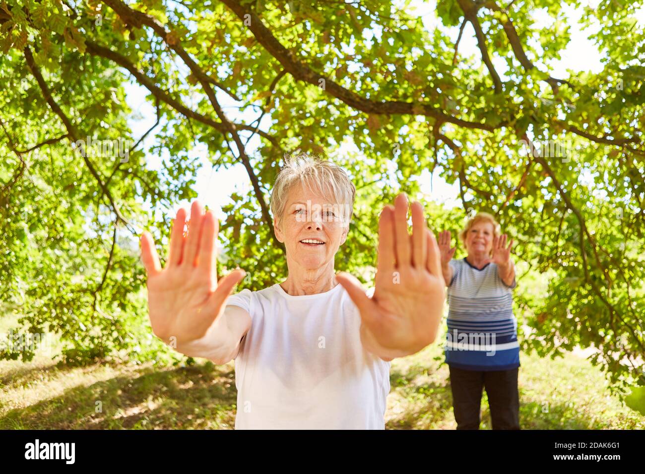Two vital senior women do Tai Chi breathing exercises for health and relaxation Stock Photo