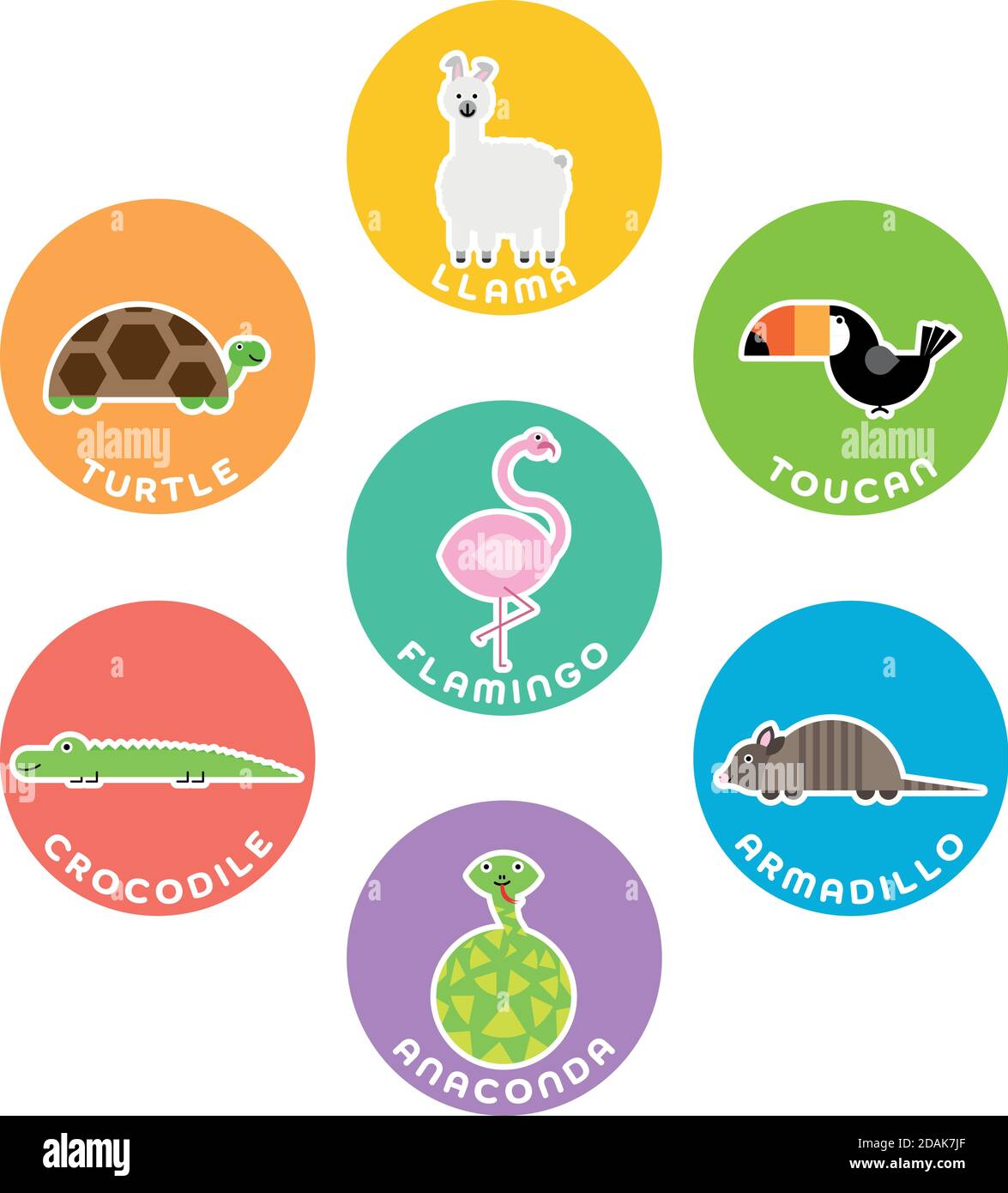 South American wild animals collection. Set of 7 cartoon characters in the  circle with name labels. Vector illustration Stock Vector Image & Art -  Alamy