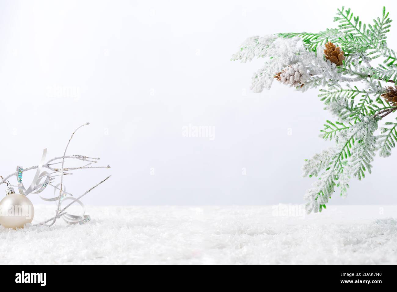 Fir tree branch with cones covered with snow on white background Stock ...