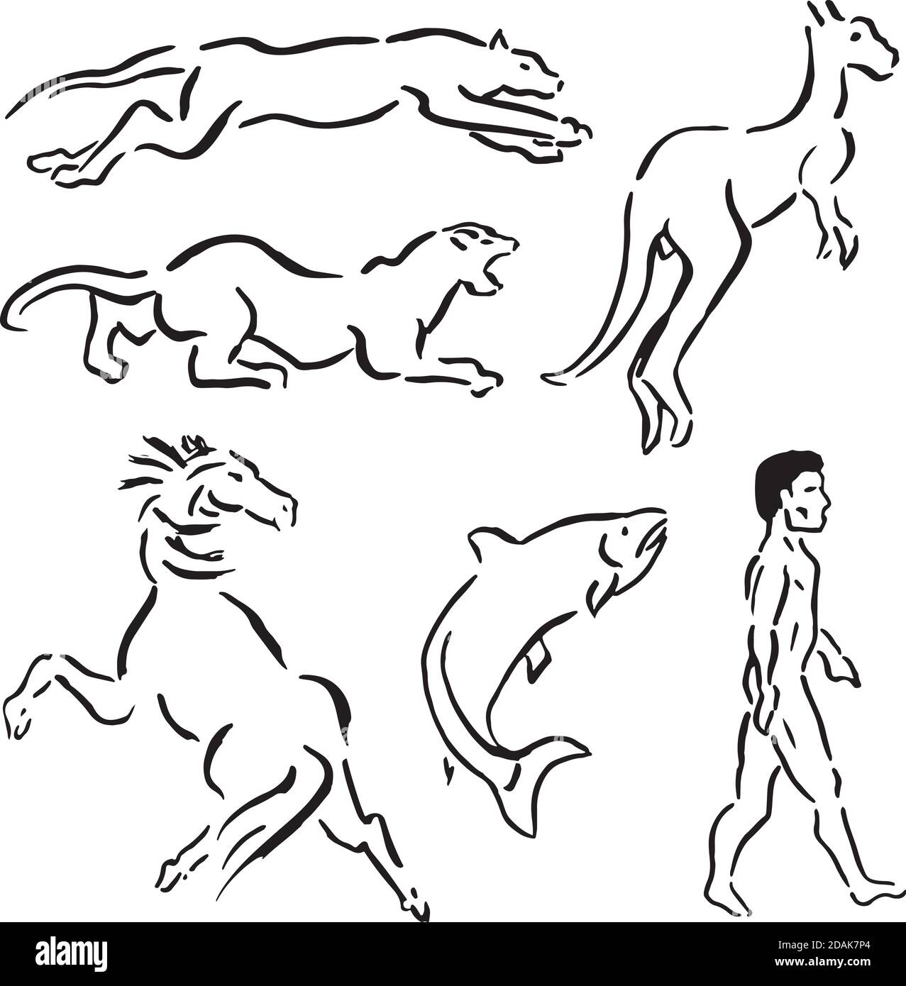 Drawing set of animals like leopard, puma, kangaroo, horse, salmon and a man walking, in ink brush style. Hand drawn and digital retouch. Stock Photo