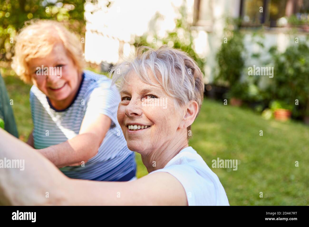 Vital elderly woman and friend setting up a tent on summer outdoor vacation Stock Photo