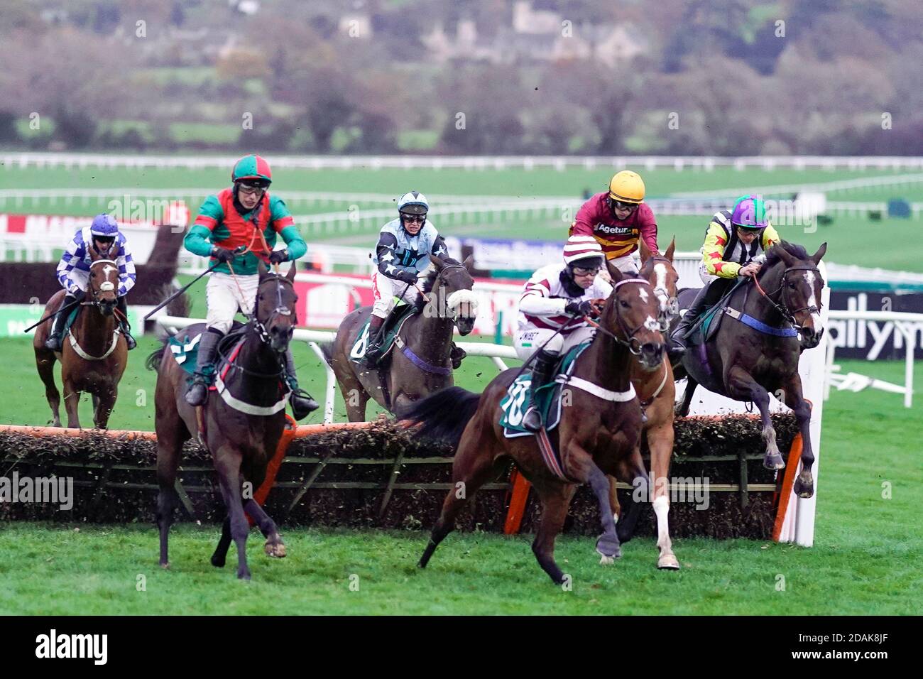 Charlie Deutsch riding Lively Citizen (R) clear the last to win The Valda Energy Novices' Handicap Hurdle at Cheltenham Racecourse. Stock Photo
