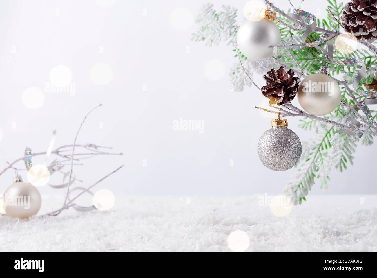 Fir tree branch with cones covered with snow on white background Stock ...