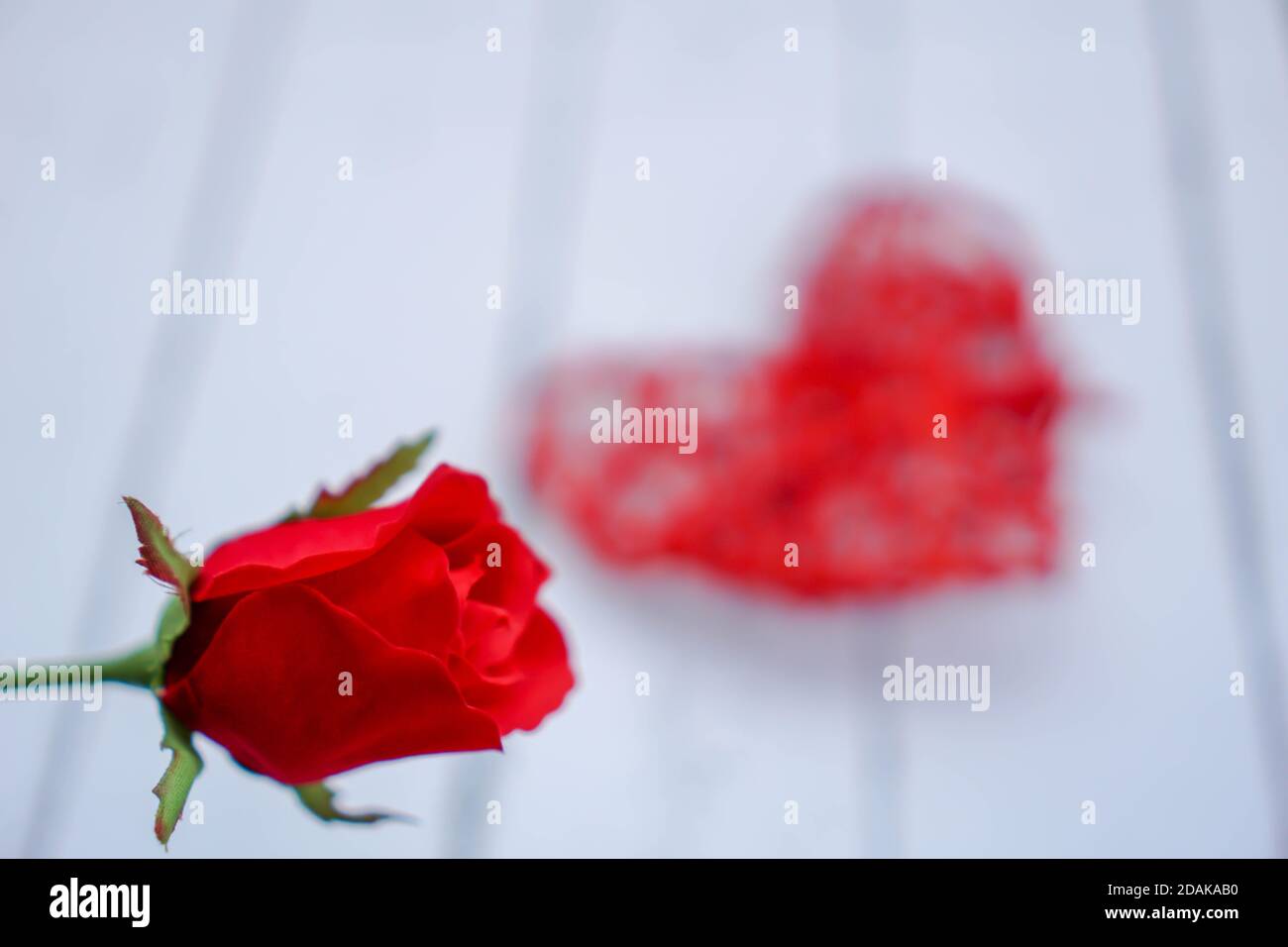 Red hearts and flowers on a white wood floor with space, ideas love or the day of love Valentines Day Stock Photo