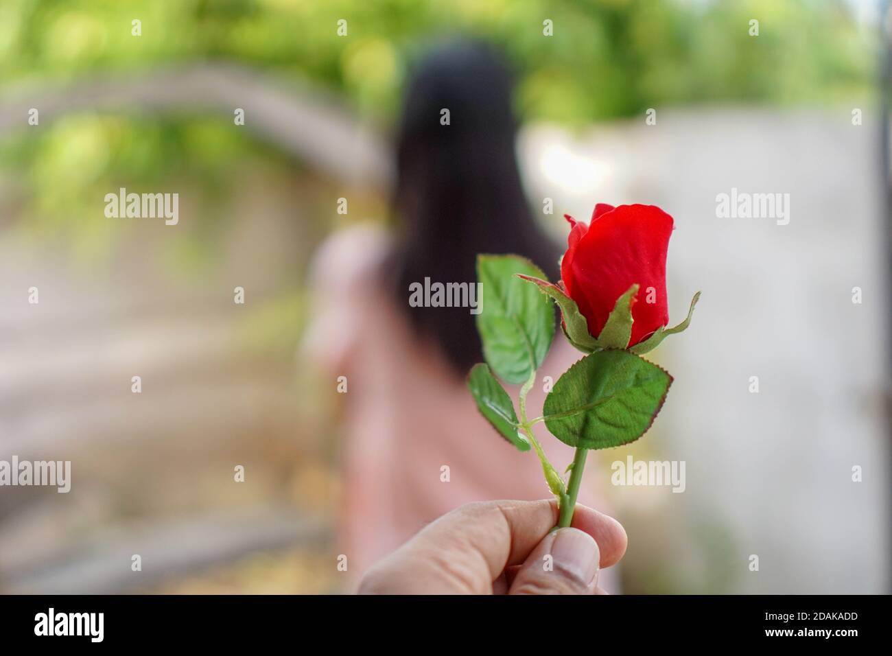 Red roses in the hands of men have blurred women as the background. The idea of reconciliation with fans Stock Photo