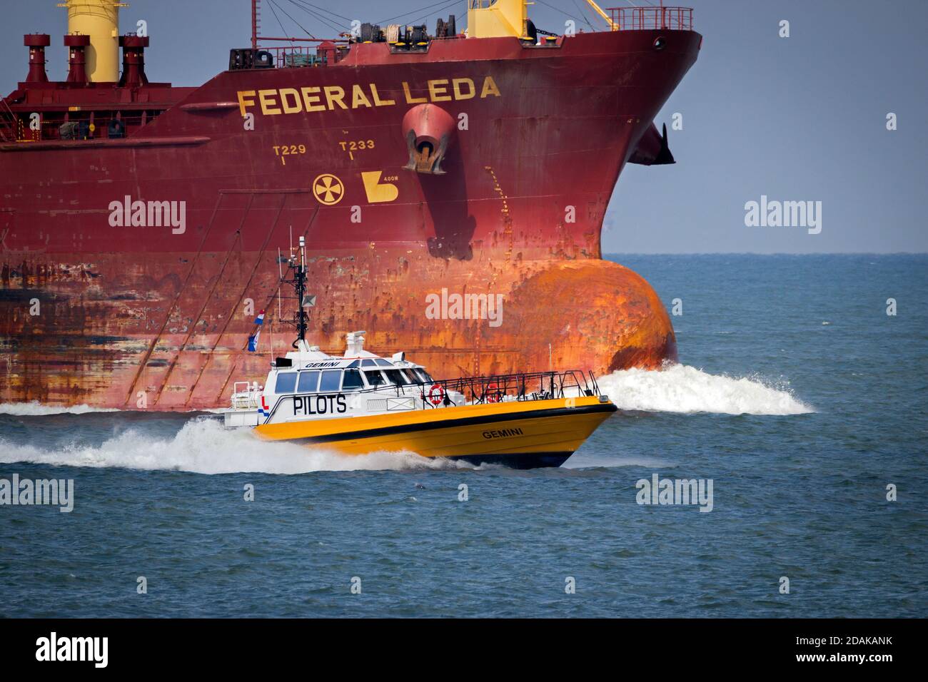 Pilot boat with maritime pilots transfering between the inbound and outbound ship in the Port of Rotterdam. September 3, 2016. Stock Photo