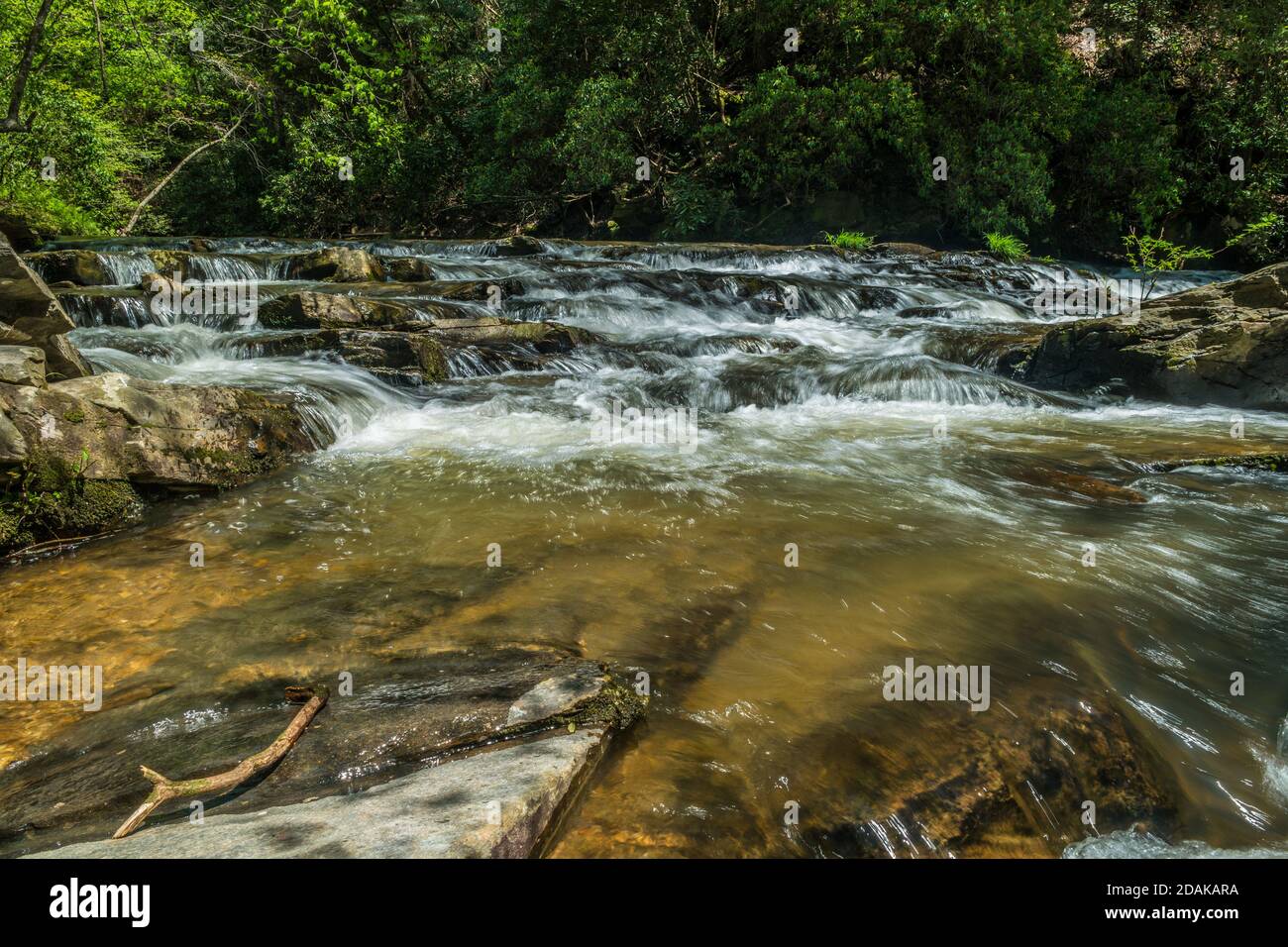 Fast moving river flowing downstream from the mountains with whitewater cascading through rocks and boulders with the woodlands in the background on a Stock Photo