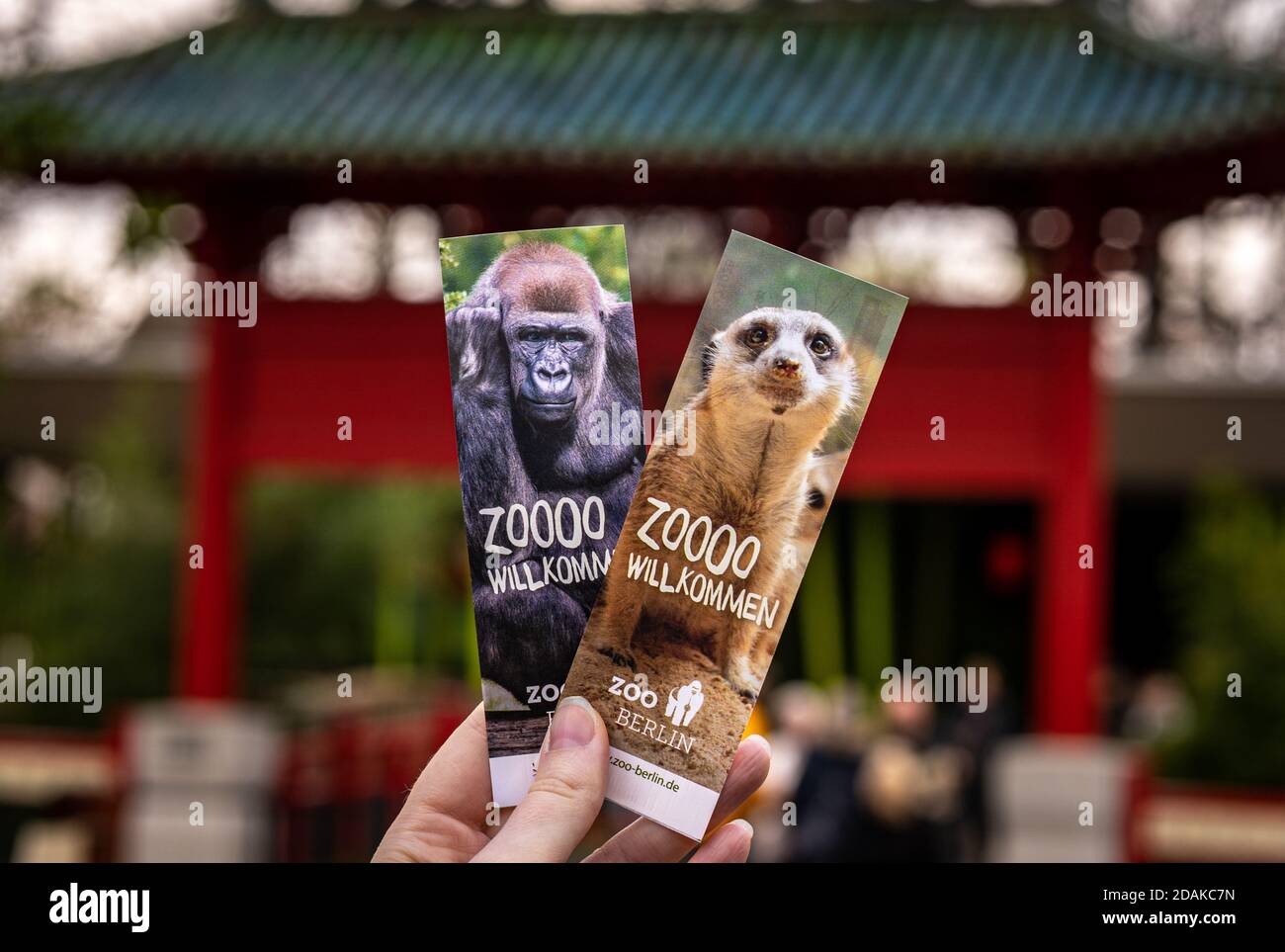 A girl is holding two tickets to Berlin Zoo in front of chinese gates near panda pavillion. Stock Photo