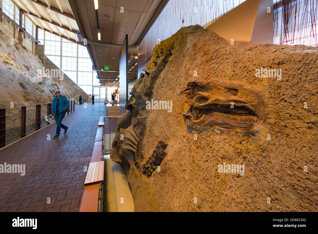 Quarry Exhibit Hall, Dinosaur National Monument, Utah, Usa, America