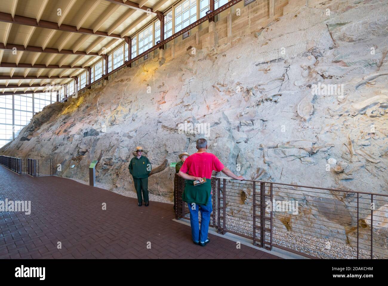 Quarry Exhibit Hall, Dinosaur National Monument, Utah, Usa, America