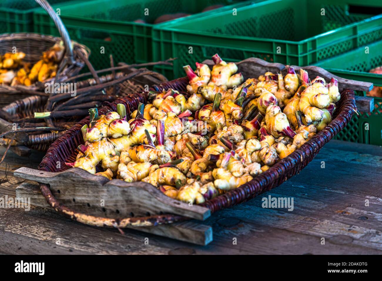 Turmeric and ginger from Bamberg. They do not ripen as well as the varieties from Peru or China, are a little milder, but incredibly fresh. The Market Gardeners’ District of Bamberg is on the UNESCO World Heritage List since 1993 Stock Photo