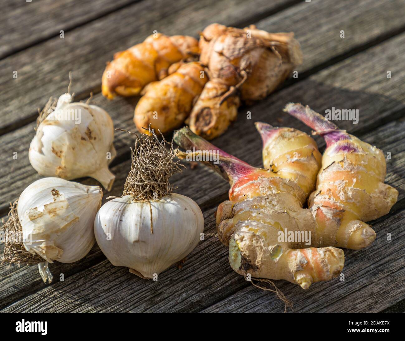 Exotic things from Franconia in Germany: ginger, garlic and turmeric. Authentic souvenirs that consume at home and do not collect dust: Bamberg garlic and turmeric and ginger tubers Stock Photo