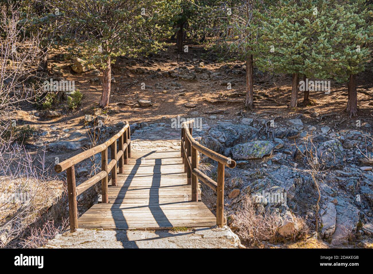 wooden bridge over a stream in the middle of the forest. Guadarrama National Park. Spain. Stock Photo