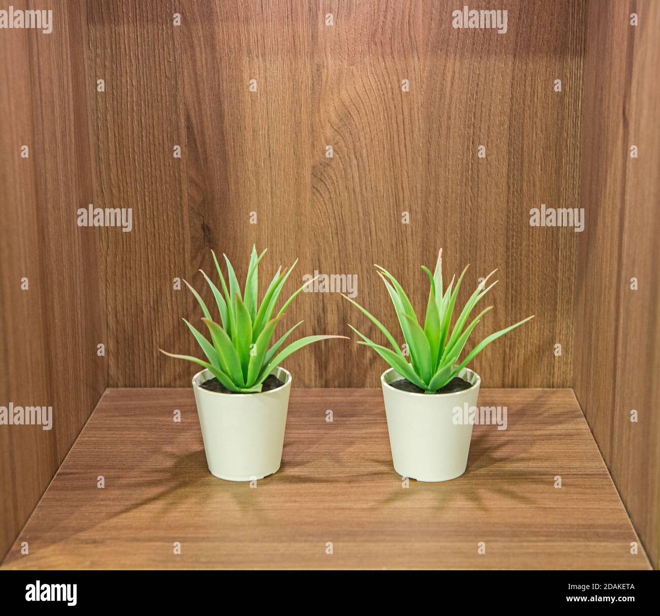 Pair of artificial pot plants on wooden shelf in modern domestic living