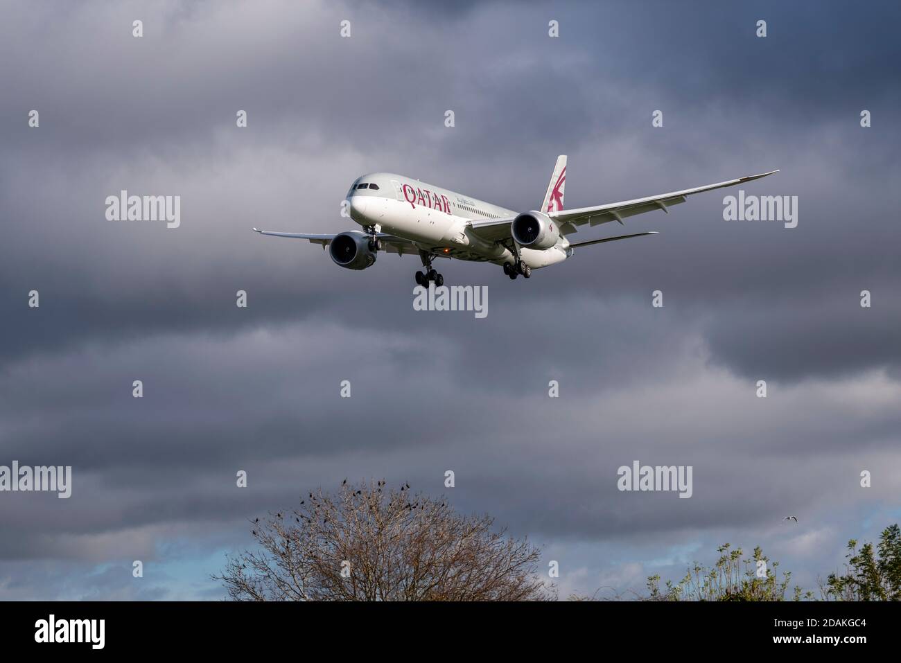 Qatar Airways Boeing 787 jet airliner plane A7-BHG on approach to land at London Heathrow Airport, UK, during the second national COVID 19 lockdown Stock Photo