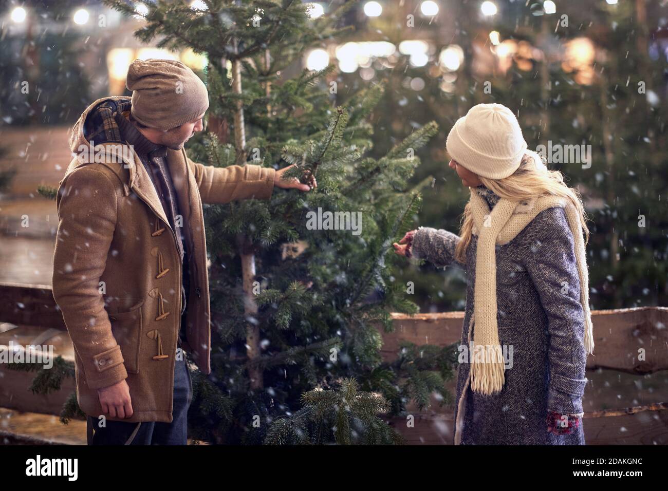 A young couple inspecting a christmas tree they want to buy on a magical snowy night in the city. Christmas tree, love, relationship, Xmas, snow Stock Photo