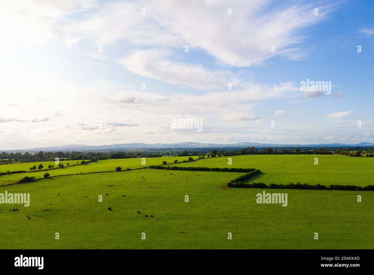 Irelands vivid green landscapes have visual trading systems