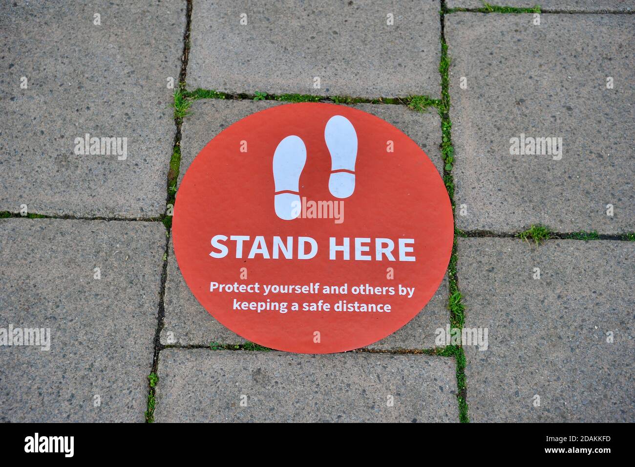 stand here floor sign covid 19 Stock Photo