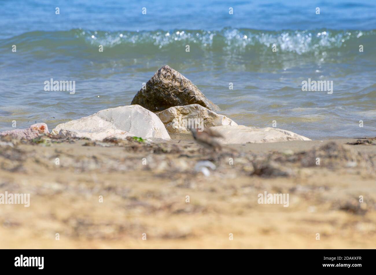 Sea landscape with rocks emerging from the sea Stock Photo - Alamy