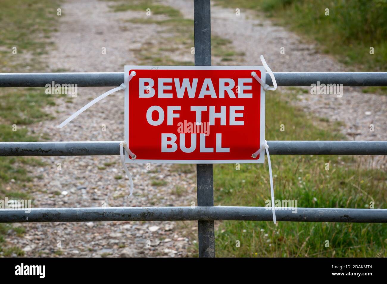 A Beware of the Bull warning sign on a gate in the counrtyside Stock Photo
