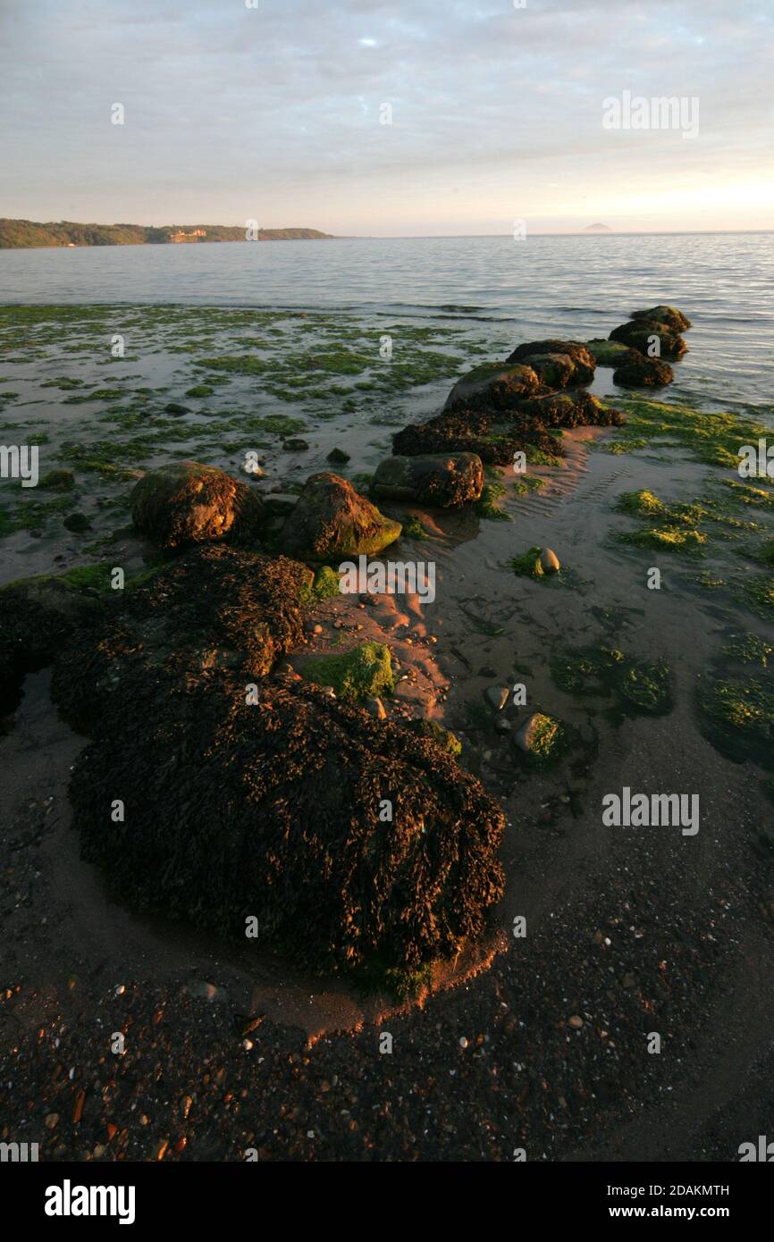 Ayrshire Croy Shore textures and rocks Stock Photo