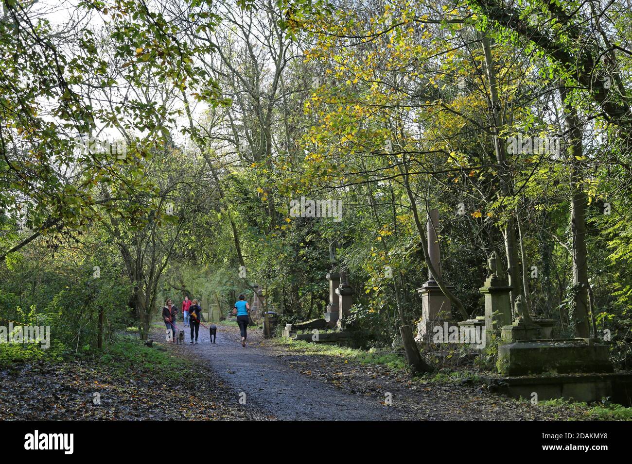 Dog walkers and runners in Nunhead Cemetery, south London, UK. An impressive Victorian cemetery now wild and overgrown, but popular with local people. Stock Photo
