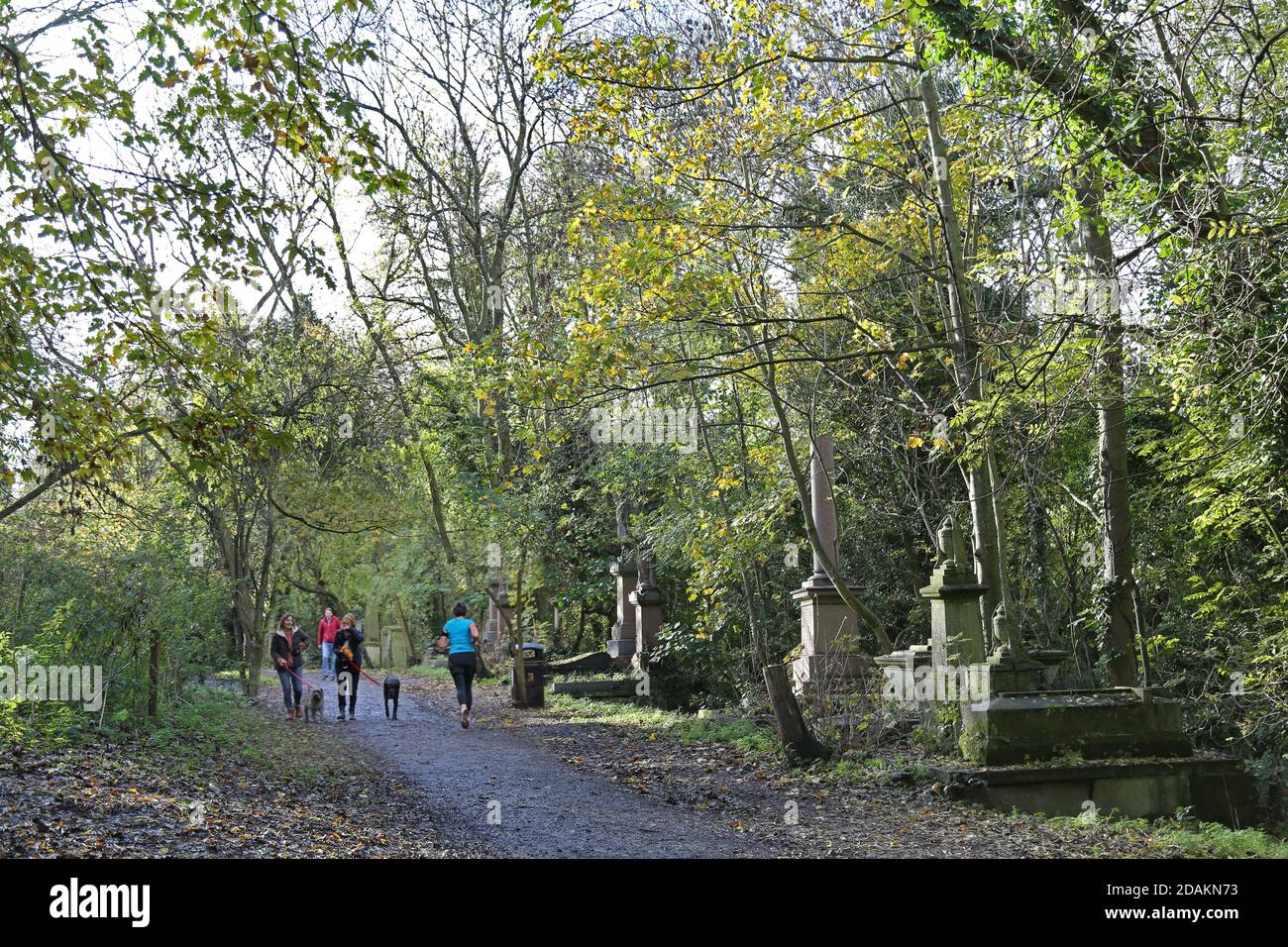 Dog walkers and runners in Nunhead Cemetery, south London, UK. An impressive Victorian cemetery now wild and overgrown, but popular with local people. Stock Photo