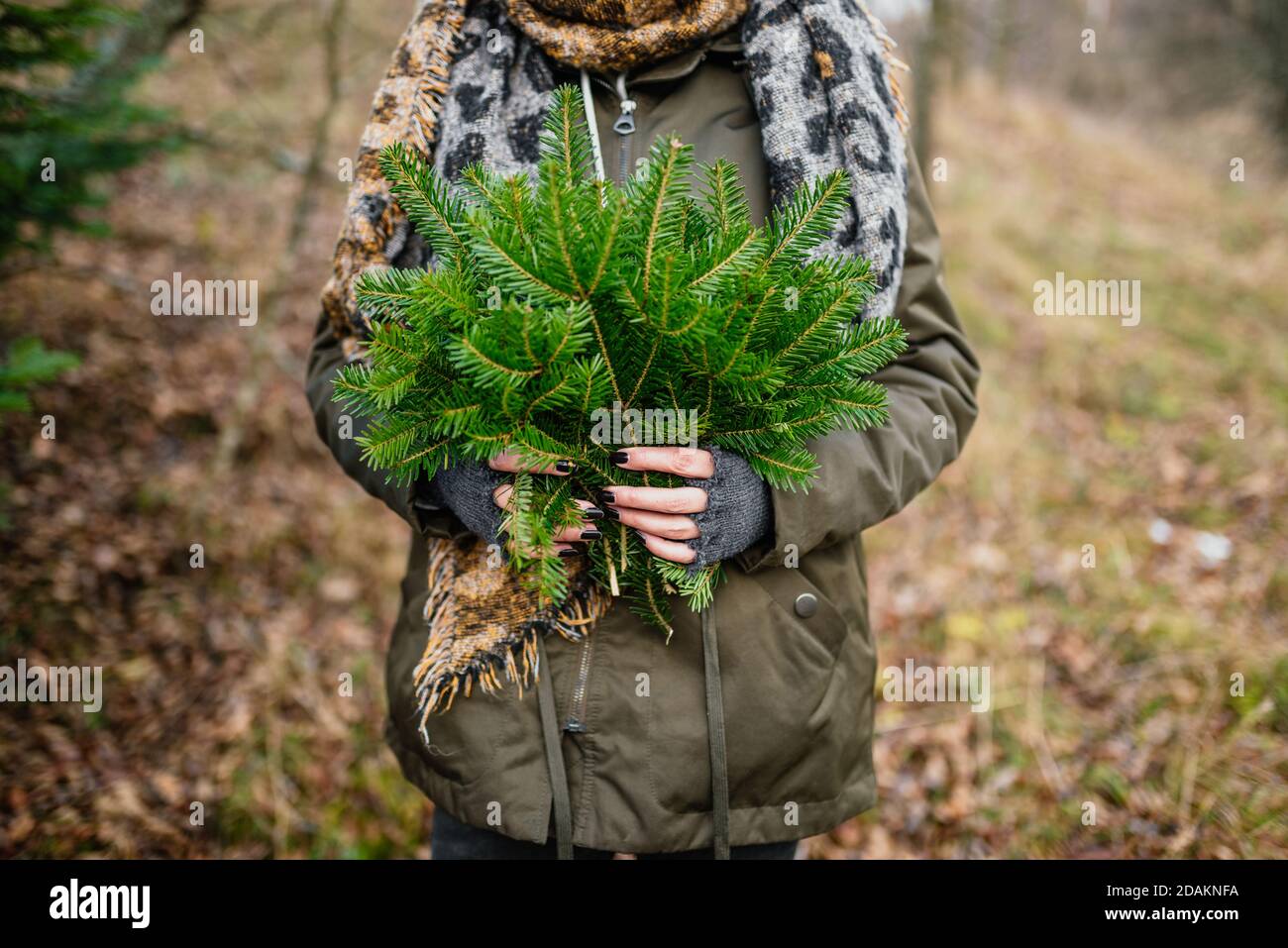Woman holding spruce tree branches in forest Stock Photo