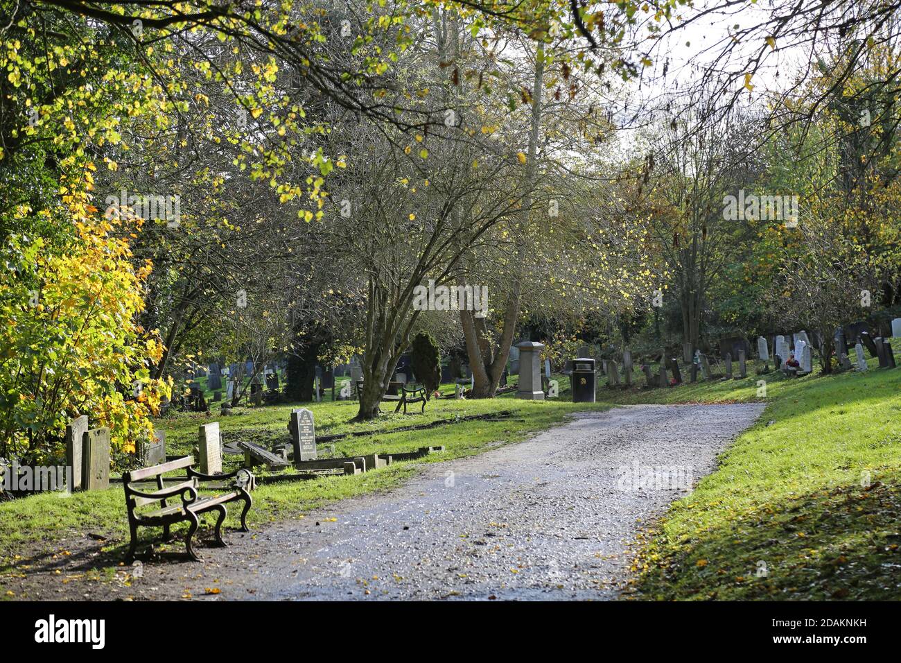 An empty path in Nunhead Cemetery, south London, UK. An impressive Victorian cemetery now wild and overgrown, but popular with local people. Stock Photo
