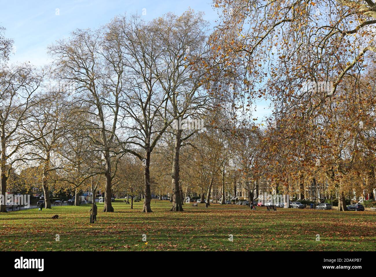 Goose Green, a tree-lined urban park in East Dulwich, London, UK. Sunny, autumn day. Stock Photo