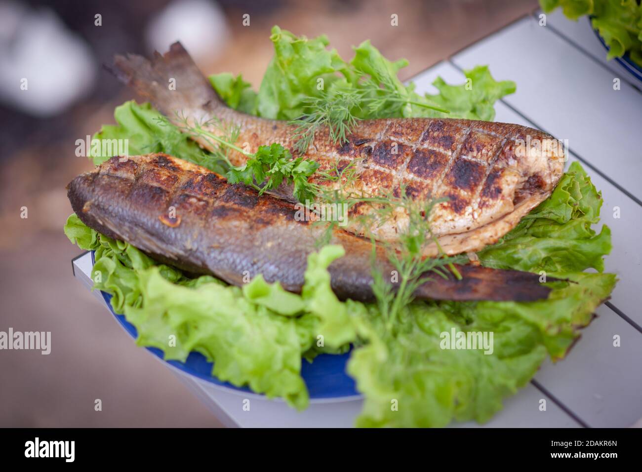 Chilean sea bass hires stock photography and images Alamy