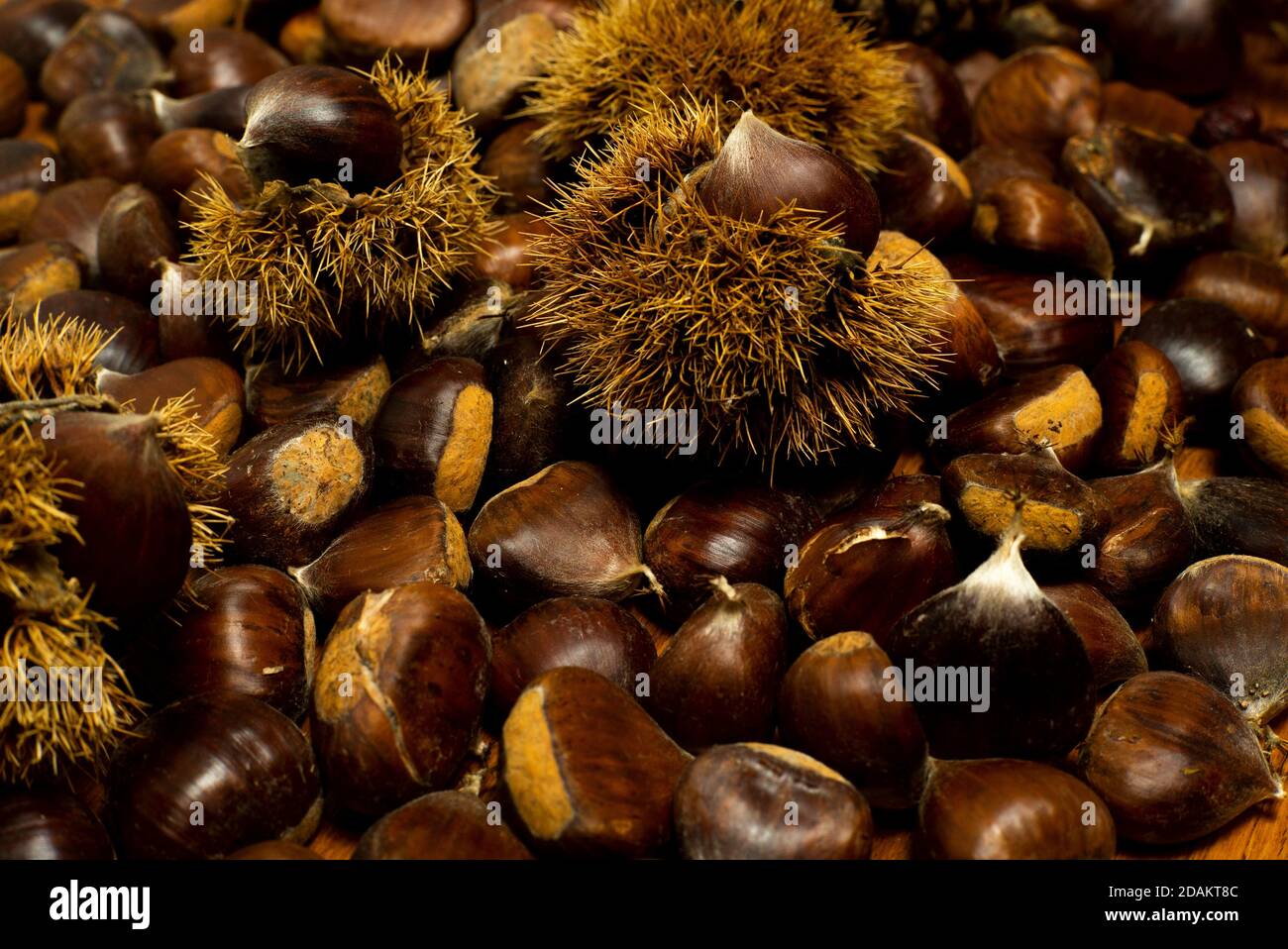 autumn details. chestnuts in shell Stock Photo - Alamy